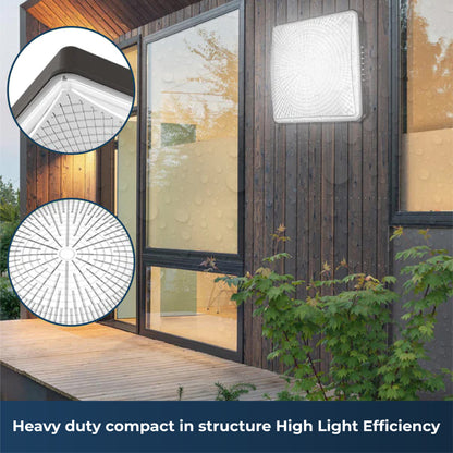 LED Canopy Light, 80W/100W/120W Selectable, 3CCT, UL & DLC Listed